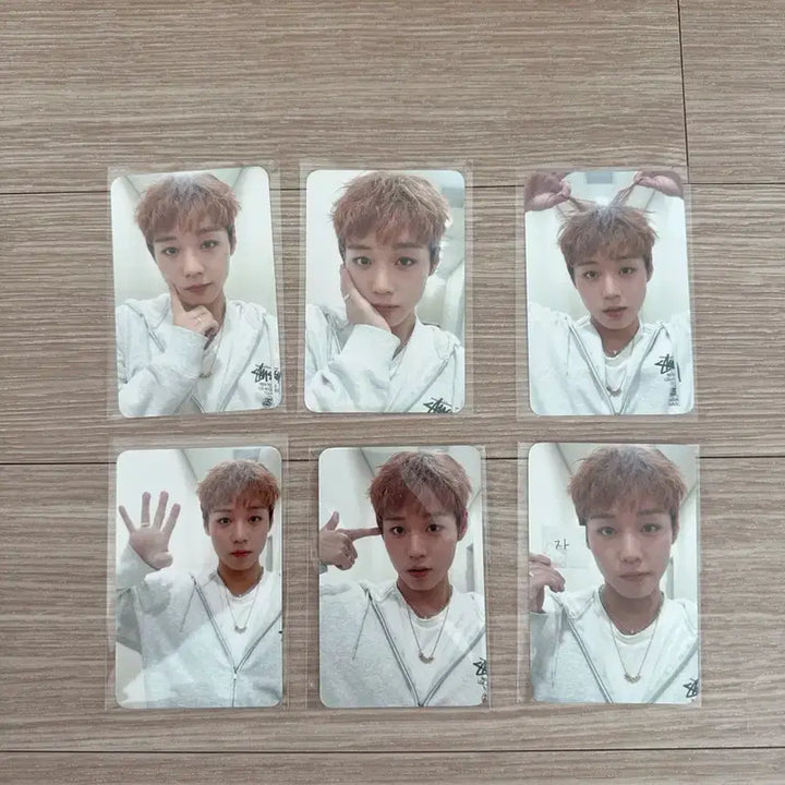 [BUNJANG] Park Ji Hoon Fancon MD Photocard Bundle Set / 박지훈 팬콘 MD 포카 판매합니다(6장 일괄)