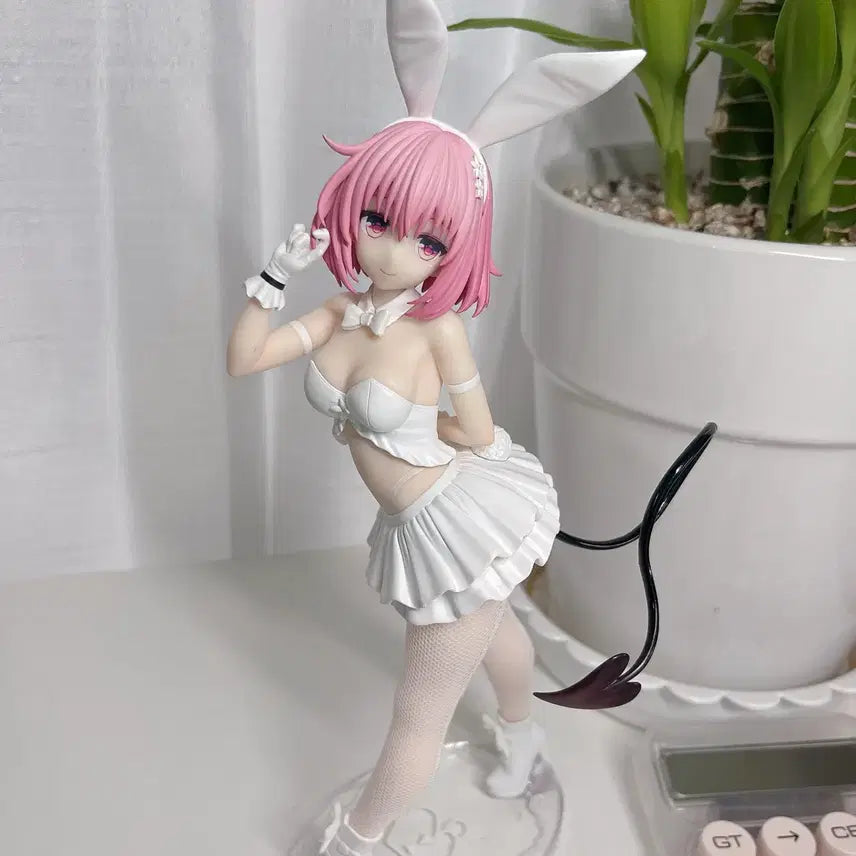 [BUNJANG] To Love Ru Momo Bishoujo Figure / 투러브 트러블 모모 미소녀 피규어