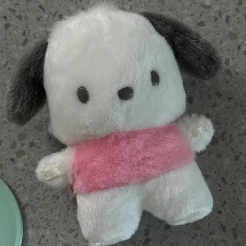 [BUNJANG] Sanrio Pochacco Magnetic Standing Doll Figure / 산리오 포차코 자립 자석 스탠드 인형 피규어