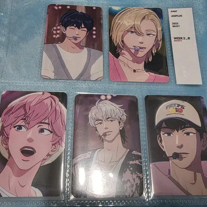 [BUNJANG] PLAVE Aniverse All Photocards Bundle Set / 플레이브 애니플러스 모든 포카 일괄  5만원오프온포카
