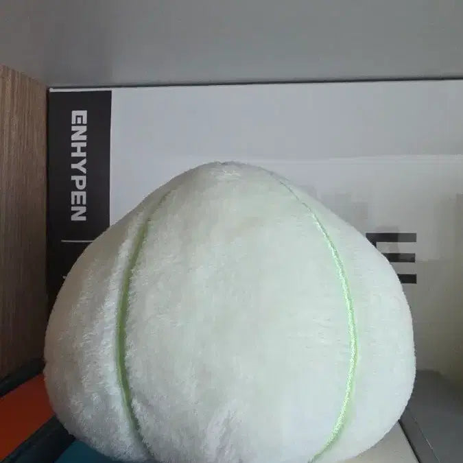 [BUNJANG] ENHYPEN Yang Jungwon Doll / 양파 양정원 인형 엔하이픈 enhypen