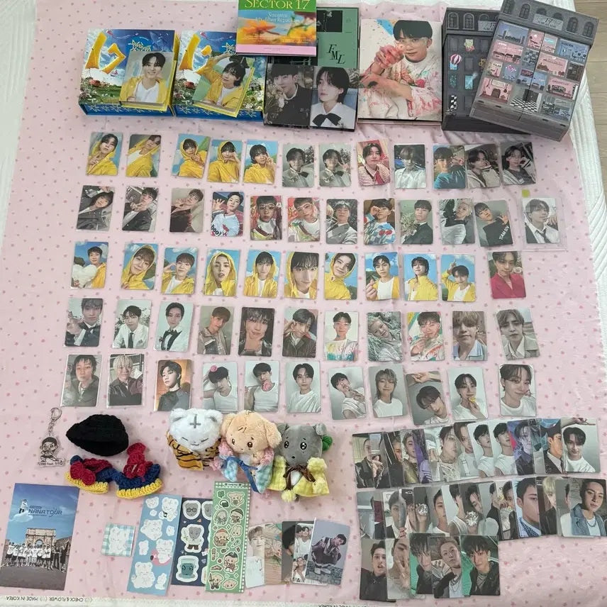 [BUNJANG] SEVENTEEN Bundle Set Photocard &amp; Album / 세븐틴 탈덕 처분 일괄 양도 겸푸 호찌 겸도그 포카 앨범