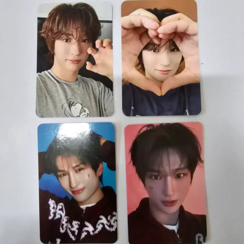 [BUNJANG] Darkbee Lee Chan Photocard Set / 다크비 이찬