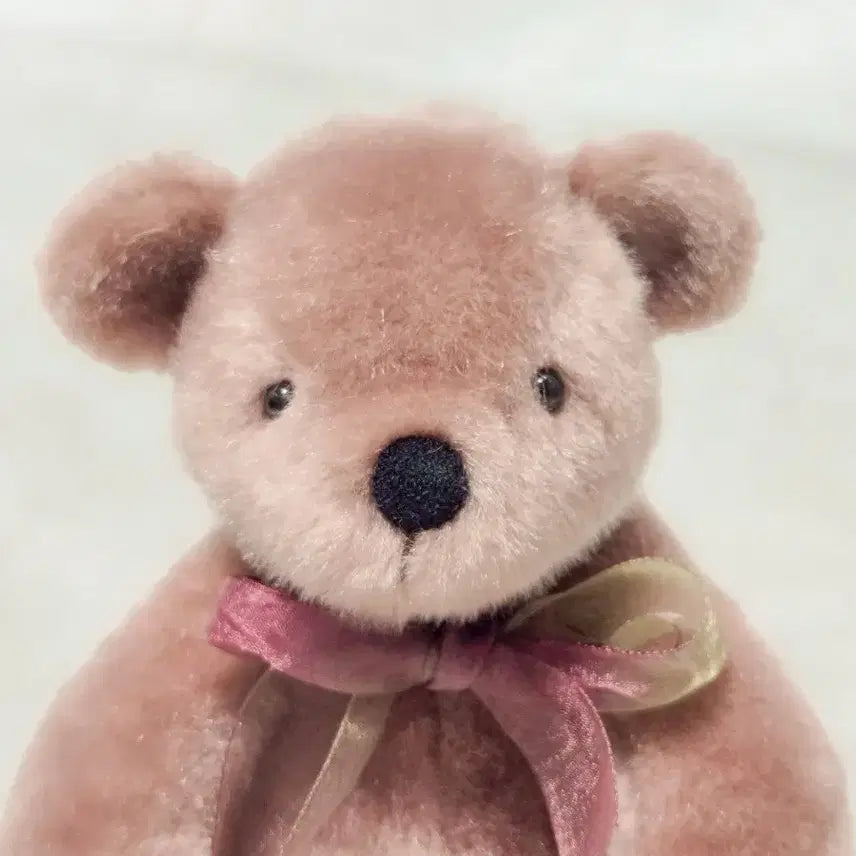 [BUNJANG] Sekiguchi Raspberry Bear Early Version Vintage Doll / 극레어) 세키구치 라즈베리곰 초기버전 재팬택 고전 곰인형