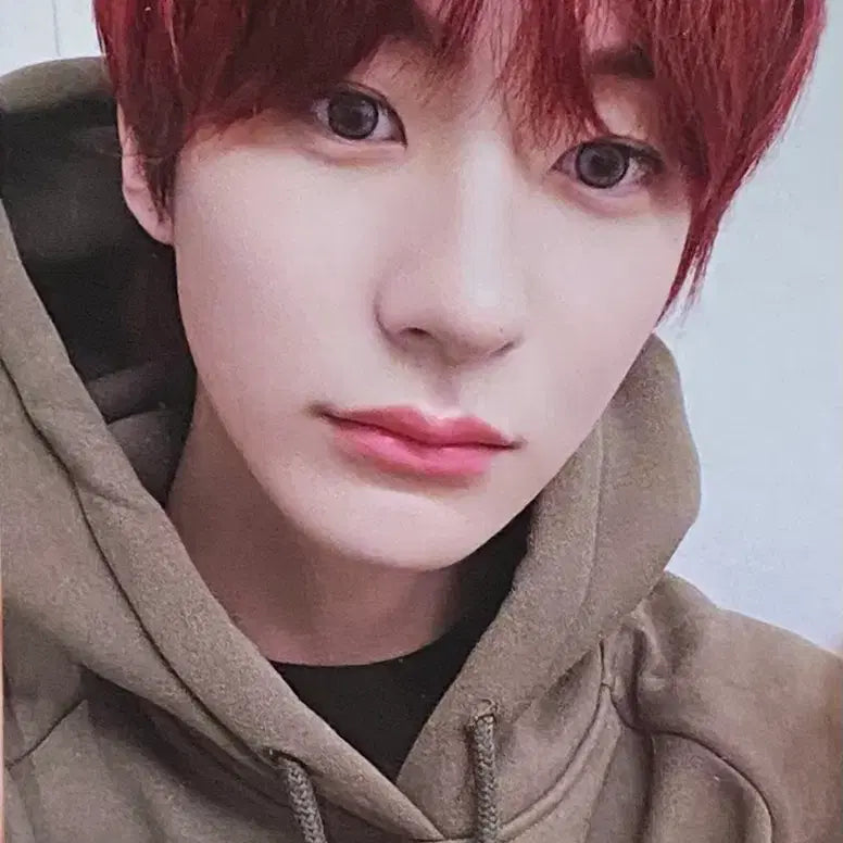 [BUNJANG] RIIZE Anton Photocard + Shotaro Circle Photo / 라이즈 앤톤 후드 포카 + 쇼타로 서클포토