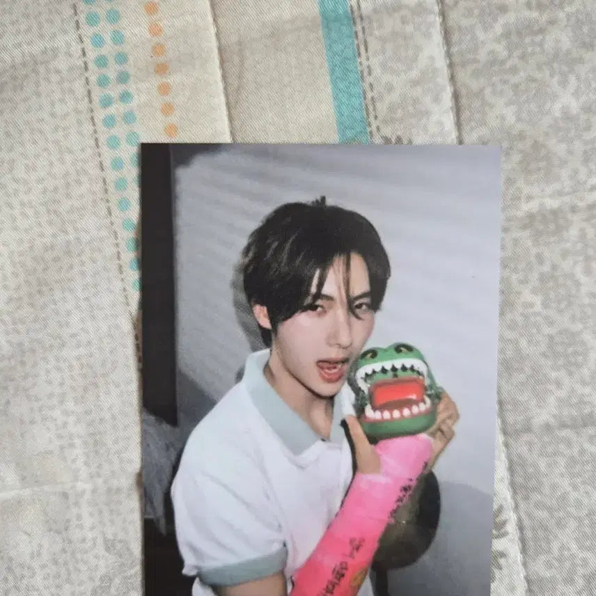 [BUNJANG] TWS Youngjae Selection Pack Weverse POB Photocard / TWS 투어스 영재 셀렉션팩 위버스 특전