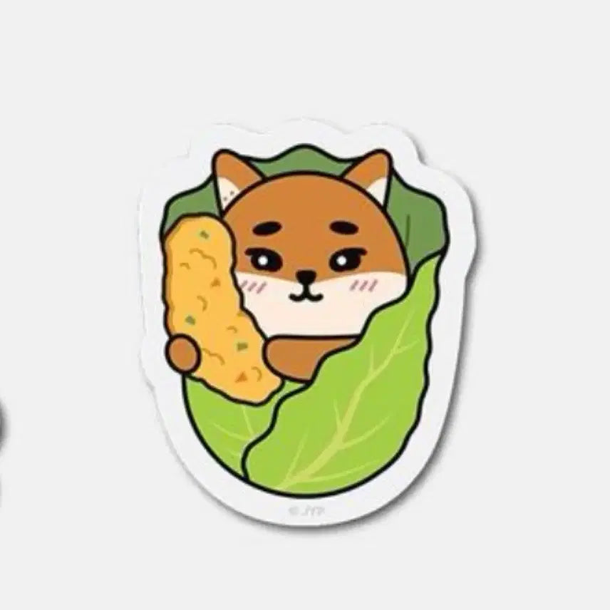 [BUNJANG] Day6 Nationwide Tour MD Young K Lettuce Case Gwangju Magnet / 데이식스 전국투어md 영케이 상추케 광주마그넷 새상품
