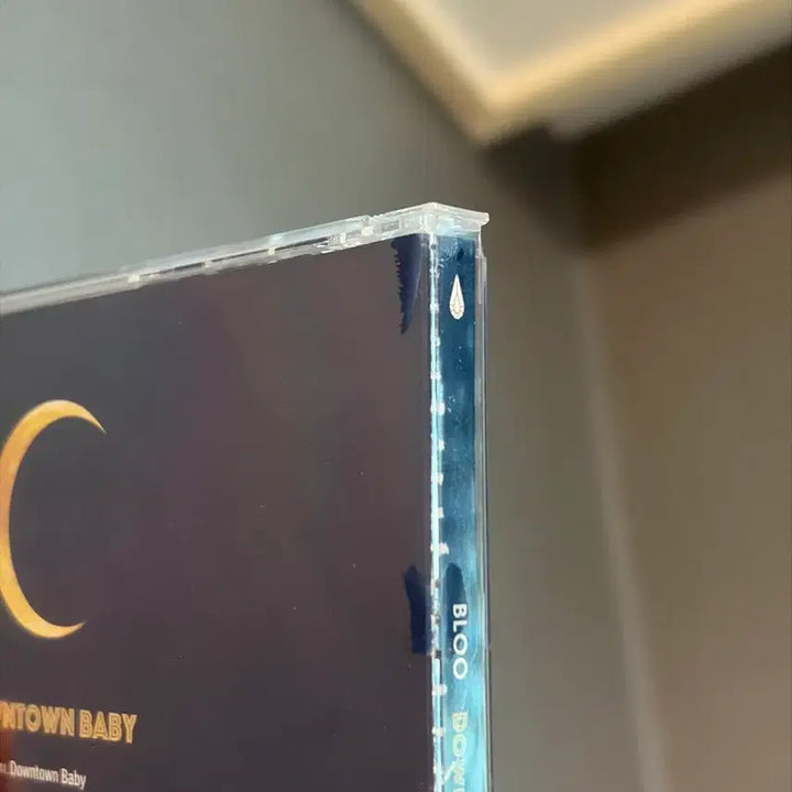 [BUNJANG] Bloo Downtown Baby CD Album / bloo 블루 downtown baby 다운타운베이비 cd 음반 앨범 래퍼 국힙