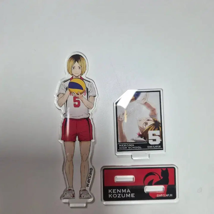 [BUNJANG] Haikyuu!! Kozume Kenma Acrylic Standee Set / 하이큐 코즈메 켄마 아크릴 스탠드