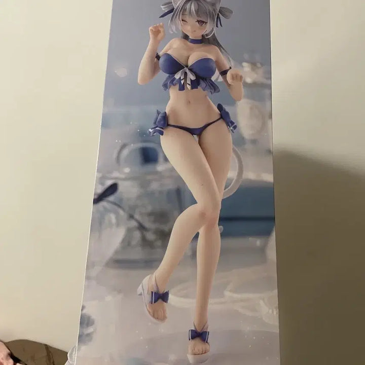 [BUNJANG] Bishoujo Figure Swimsuit Edition / 미소녀 피규어 수영복
