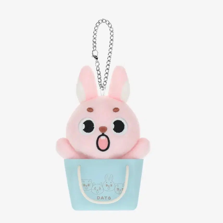 [BUNJANG] DAY6 Young K Official Japan MD Wonpil Bag Charm Sealed / 데이식스 일본md 원필백참 미개봉새상품