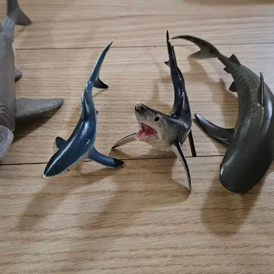[BUNJANG] Shark Figurine Set (4 Types) / 상어  4종 피규어  청새리 청사아리 뱀상어