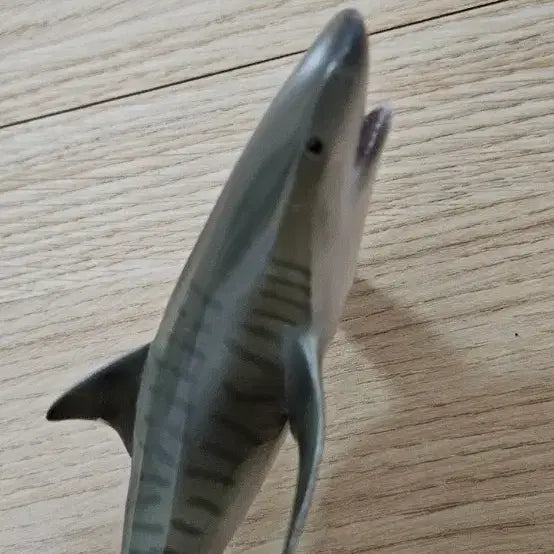 [BUNJANG] Shark Figurine Set (4 Types) / 상어  4종 피규어  청새리 청사아리 뱀상어