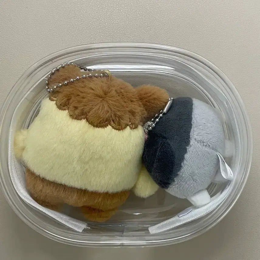 [BUNJANG] Park Ji Hoon Ppoomi Moongi Bundle Set / 박지훈 뿌움이 모옹이 일괄 판매