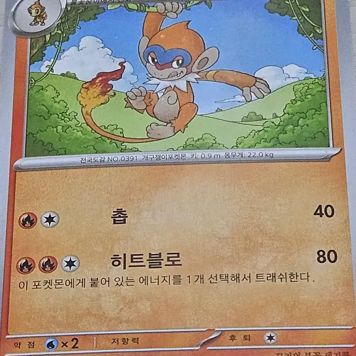 [BUNJANG] Pokemon TCG Torracat &amp; Incineroar Set / 포켓몬 카드 불꽃숭이, 파이숭이 세트 [10%할인]