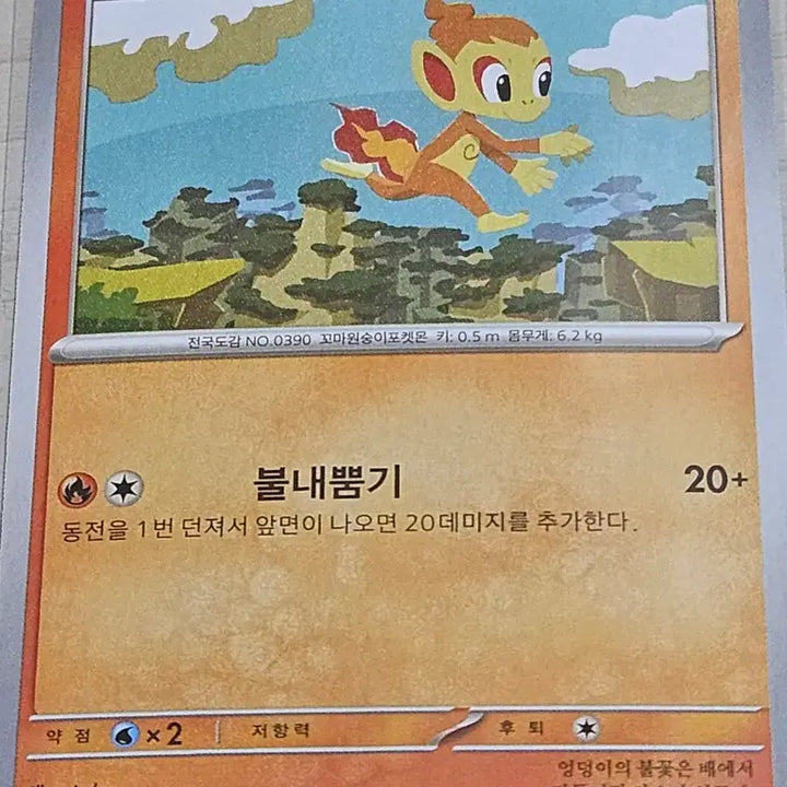 [BUNJANG] Pokemon TCG Torracat &amp; Incineroar Set / 포켓몬 카드 불꽃숭이, 파이숭이 세트 [10%할인]