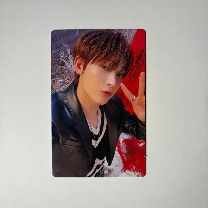 [BUNJANG] ENHYPEN Sunoo YOU Japan Single Solo Jacket Universal Photocard Bundle Set / 엔하이픈 선우 YOU 일본 싱글 앨범 솔로 자켓 유니버셜 포카 3장 일괄