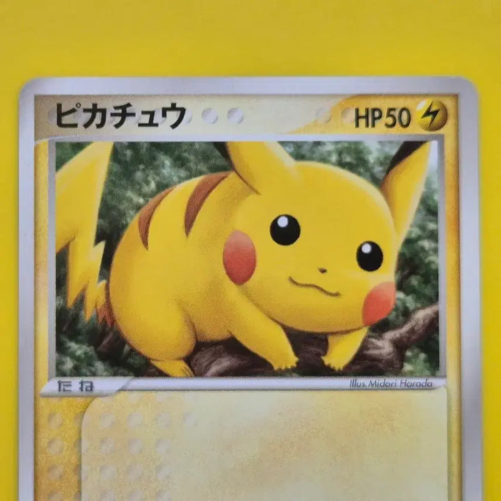 [BUNJANG] Pokemon Card 2004 Pikachu "Legendary Ascent" 1st Edition SS-Grade / 포켓몬카드 ss-급 2004 피카츄 전설의비상 초판 1st 1ed