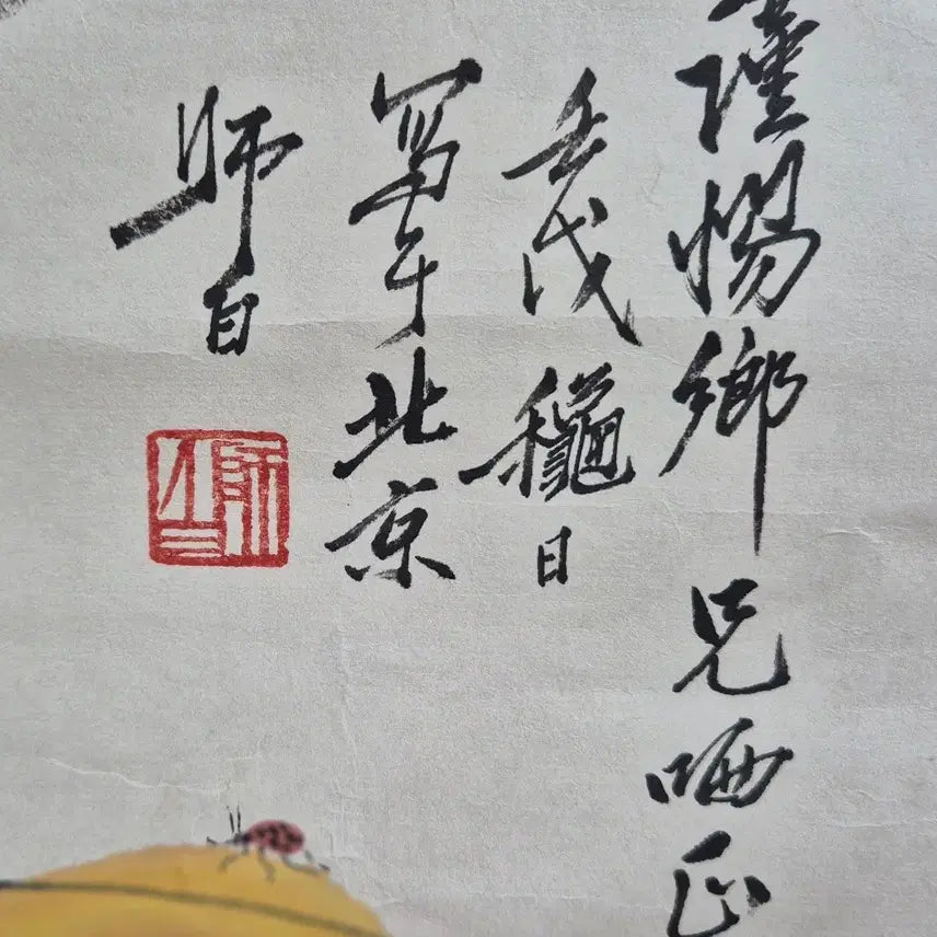 [BUNJANG] Lou Shibai (Master Painter) Cicada and Insect Painting, 34x26cm / 누사백, 초충도, 34x26cm.