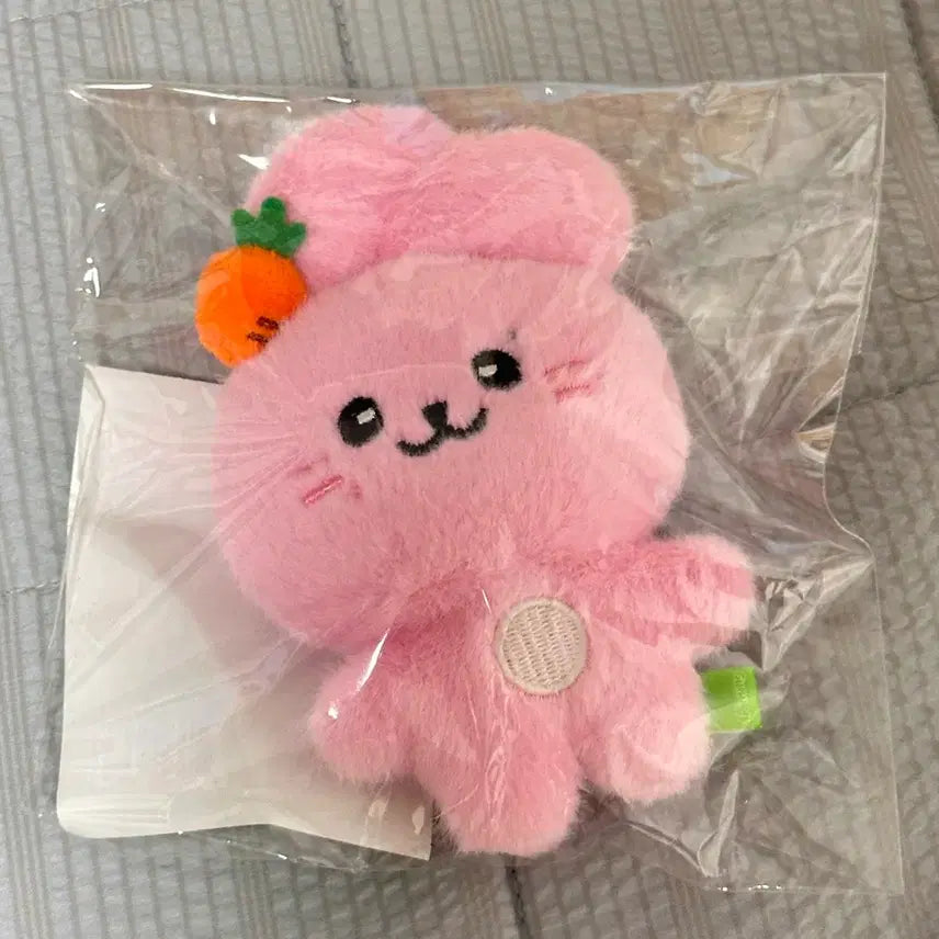 [BUNJANG] fromis_9 Park Ji-won Juni Doll Sealed / 프로미스나인 박지원 쥬니 인형 미개봉