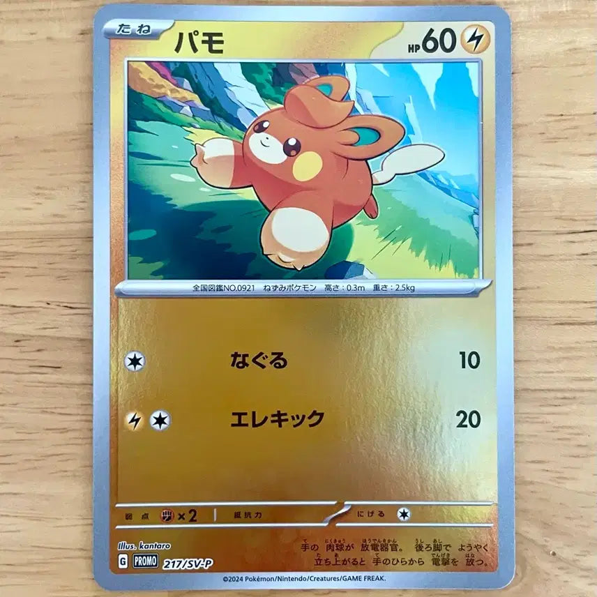 [BUNJANG] Pokemon Card Summer Promo Bamo 216/SV-P / 일판 포켓몬카드 여름 프로모 빠모 216/SV-P