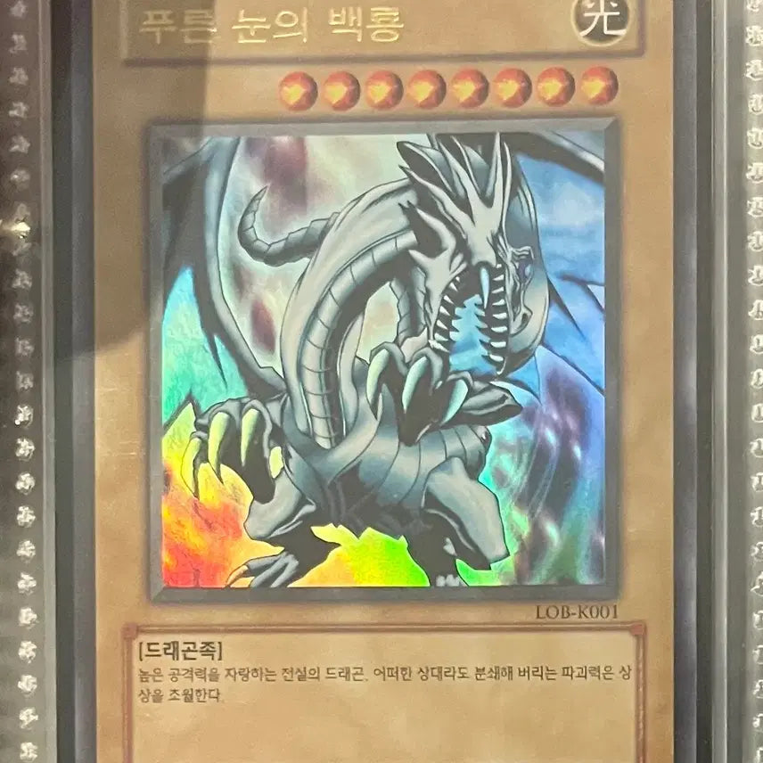 [BUNJANG] Yu-Gi-Oh! &amp; Pokémon Cards / [상태 S급 + 합리적 가격] 유희왕 카드 + 포켓몬 카드 낱장 or 묶어서 판매합니다!