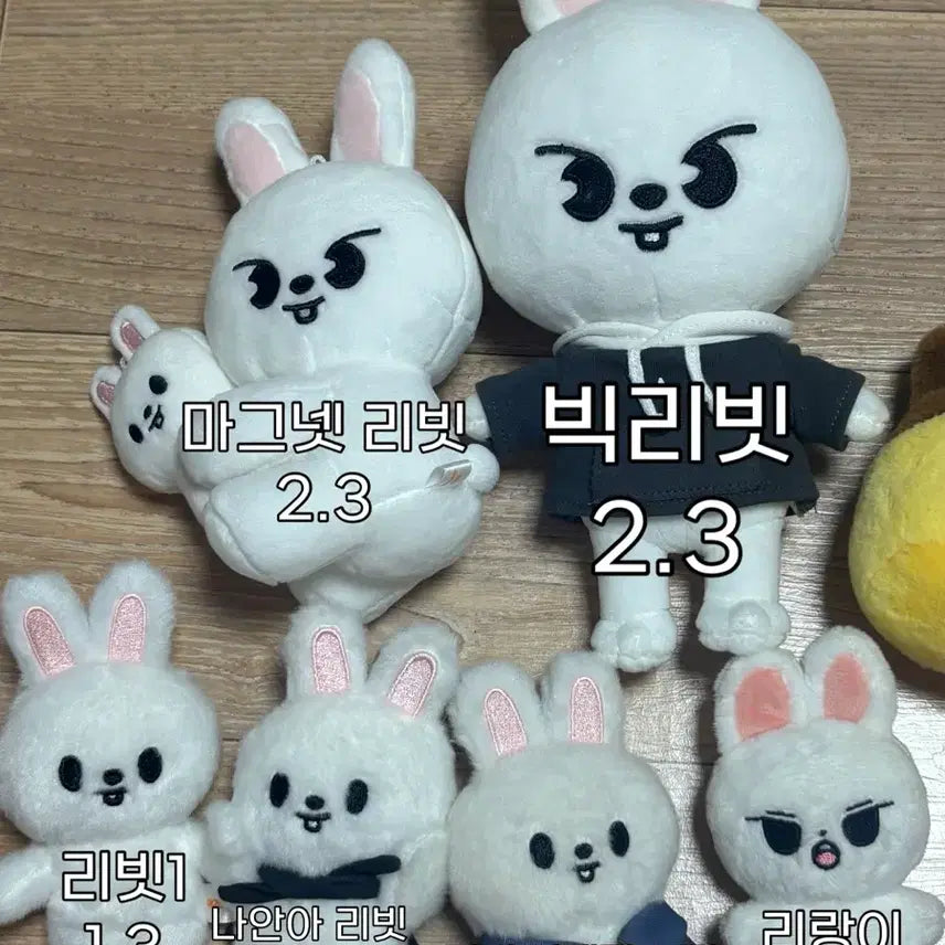 [BUNJANG] Stray Kids Lee Know (Lee Know) Accessories Bundle / 스키즈 리노 굿즈 판매 리빗