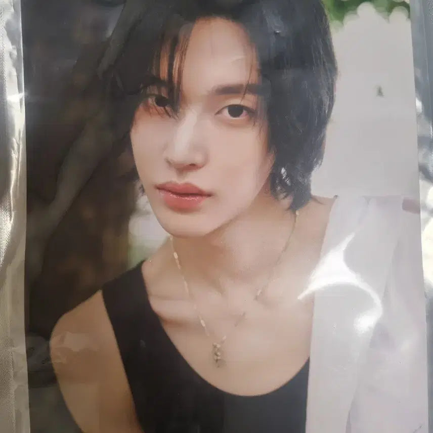 [BUNJANG] RIIZE A4 Photo / 라이즈 A4 PHOTO 판매합니다!