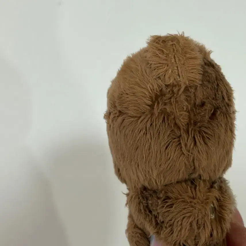 [BUNJANG] NCT Haechan Kkomchani Doll / 엔시티 해찬 인형 꼼찬이 양도 판매