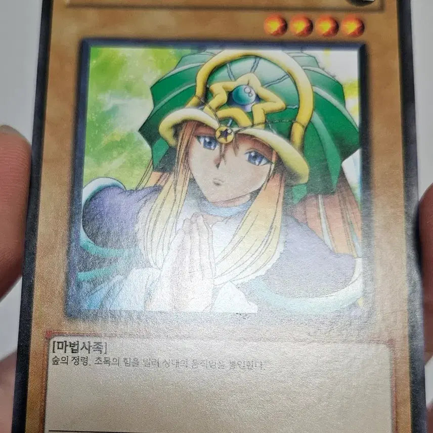 [BUNJANG] Yugioh Dryad TP Tournament Edition / 유희왕 드리야드 TP 대회판