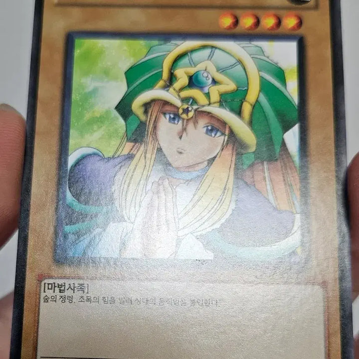 [BUNJANG] Yugioh Dryad TP Tournament Edition / 유희왕 드리야드 TP 대회판