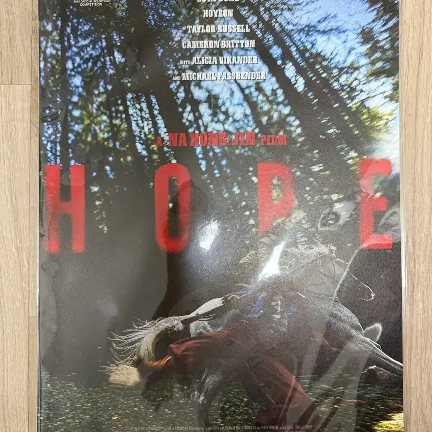 [BUNJANG] BTS J-Hope Early Bird Limited Edition Poster / 호프 얼리버드 포스터