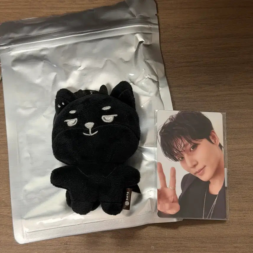 [BUNJANG] DAY6 Young K Daymals Devil K Secret Mini Plush Keyring / 데이식스 영케이 영기스트 데니멀즈 케 시크릿 미니 플러시 키링 양도 4만원 포카
