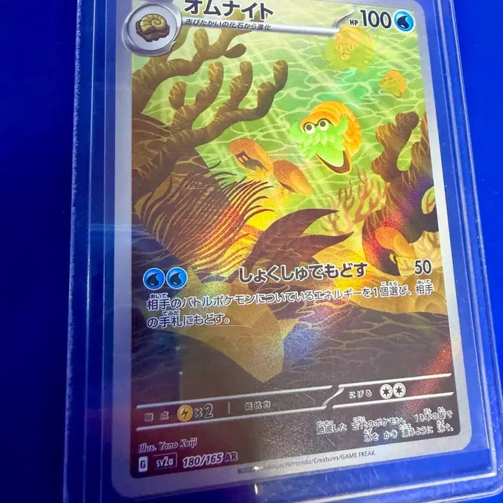 [BUNJANG] Pokemon Card Umbreon AR Japanese Card / 포켓몬카드 암나이트 AR 일판 카드