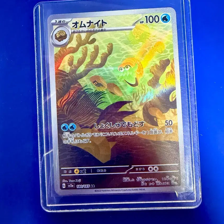 [BUNJANG] Pokemon Card Umbreon AR Japanese Card / 포켓몬카드 암나이트 AR 일판 카드