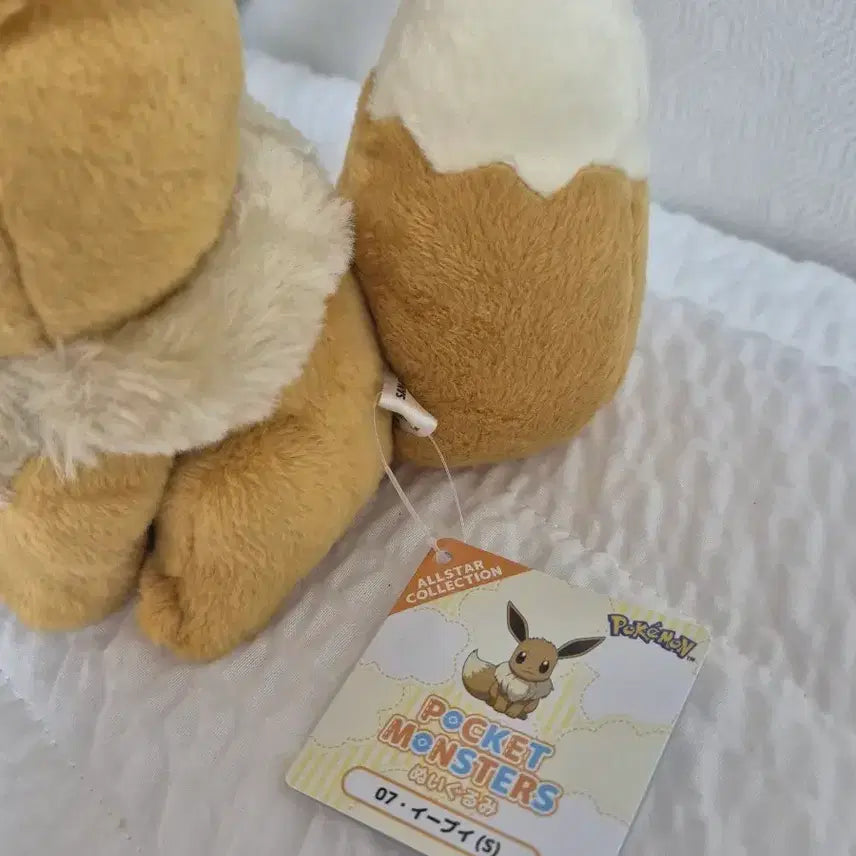 [BUNJANG] Pokemon Center Eevee Sitting Plush - New / 일본 포켓몬 센터 일포센 이브이 앉은 인형 새상품