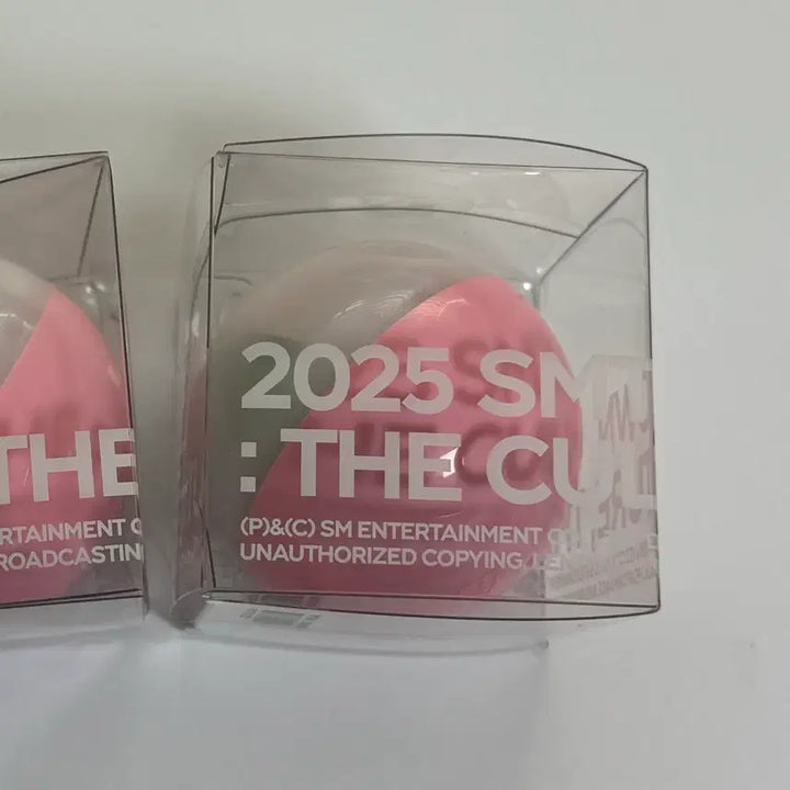 [BUNJANG] SM Entertainment 30th Anniversary Time Capsule Smol Mini NCT DREAM Jisung / SM 30주년 타임캡슐 스미니 NCT DREAM 지성