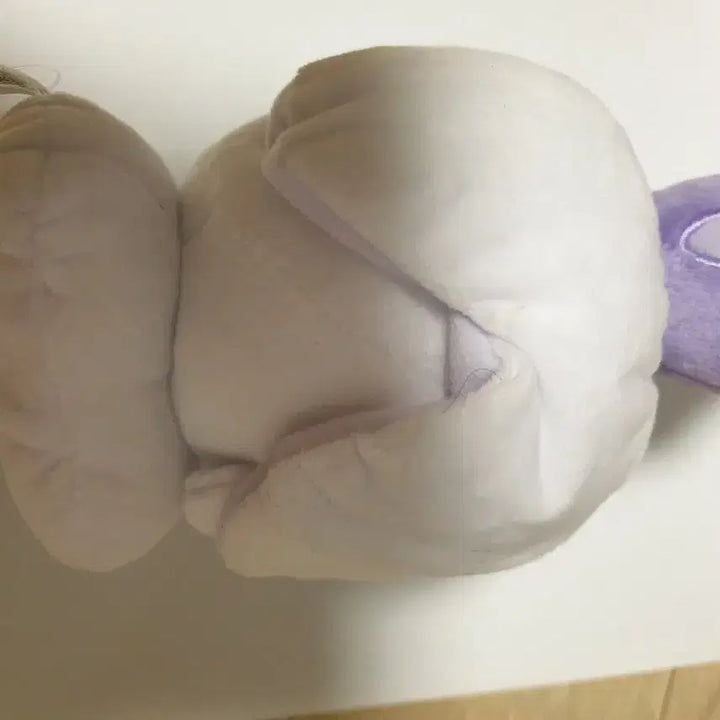 [BUNJANG] Pokemon Center Field Purchase Plush Doll / 불켜미 인형 포켓몬센터 현장 구매품