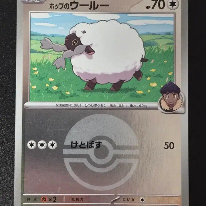 [BUNJANG] Pokemon Card Hob&