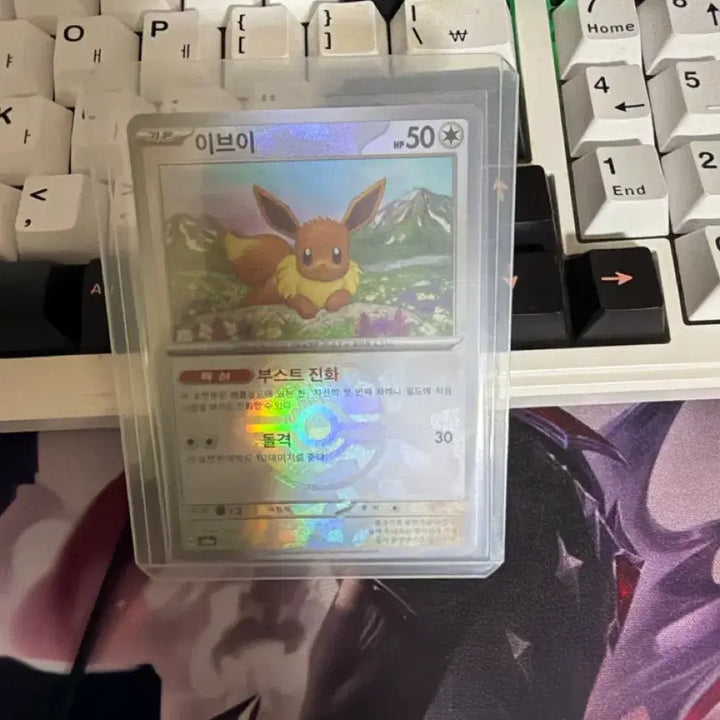[BUNJANG] Pokemon Card Eevee Master Ball SV8a / 포켓몬카드 SV8a 이브이 마스터볼 판매