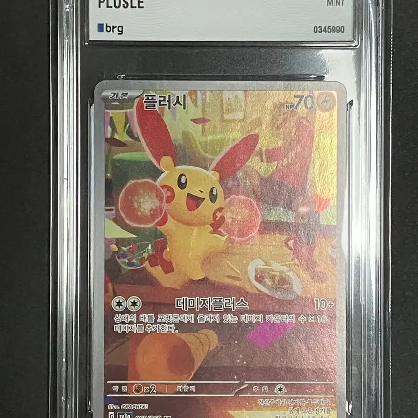 [BUNJANG] Pokemon Card Theme Card Plush AR BRG9 / 포켓몬카드 테마카드 플러시ar brg9