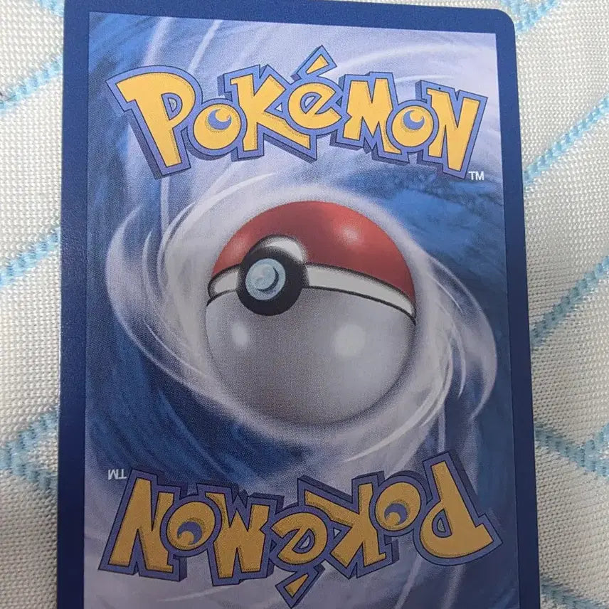 [BUNJANG] Pokémon Card Mega Sharpedo ex SR / 포켓몬카드 메가샤크니아 ex SR