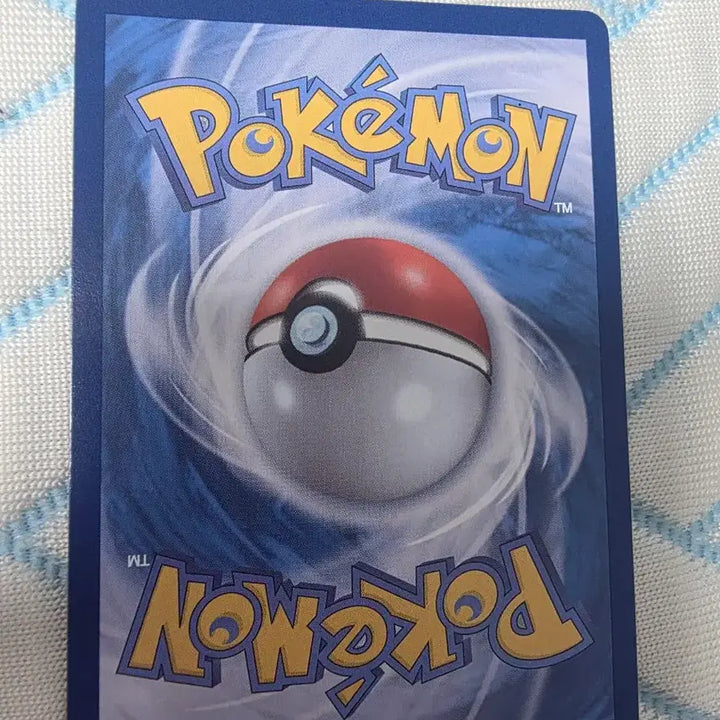 [BUNJANG] Pokémon Card Mega Sharpedo ex SR / 포켓몬카드 메가샤크니아 ex SR