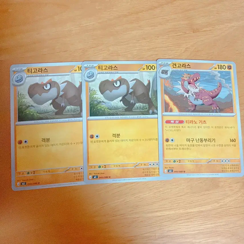 [BUNJANG] Pokemon Card Tyrunt Rampardos Bundle Set / 포켓몬 카드 티고라스 견고라스