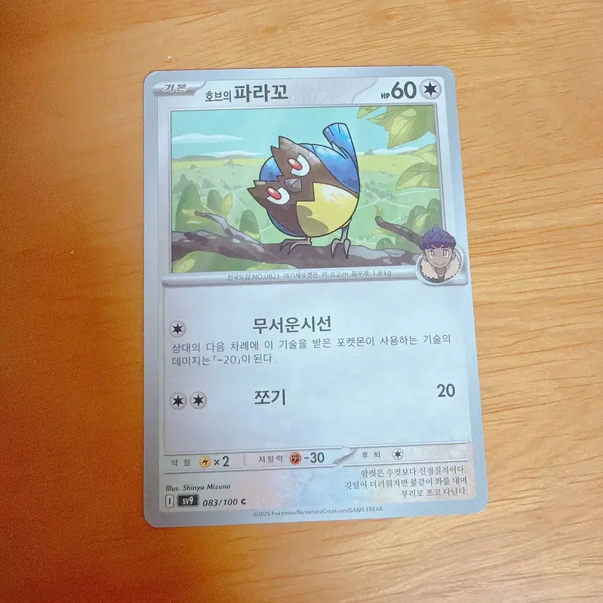 [BUNJANG] Pokemon Card Hob&