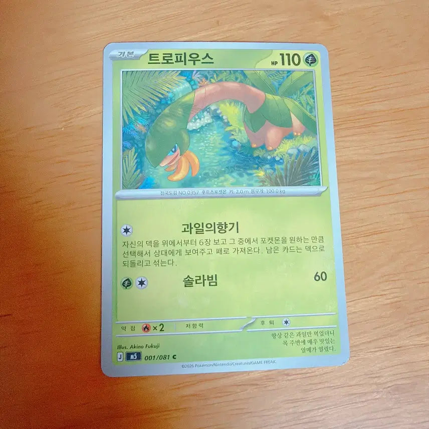 [BUNJANG] Pokemon Card Tревнова / 포켓몬 카드 트로피우스