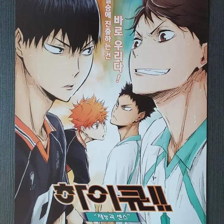 [BUNJANG] Haikyu!! Talent and Sense Korean Edition Flyer / 하이큐!! 재능과 센스 한국어판 전단지 팜플렛 A4