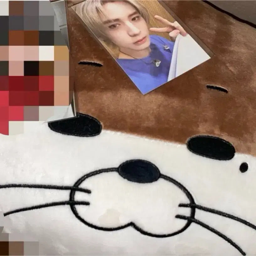 [BUNJANG] PRENEDO Rio Darling Cushion / 쁘넥도 리우 달링 페이스쿠션