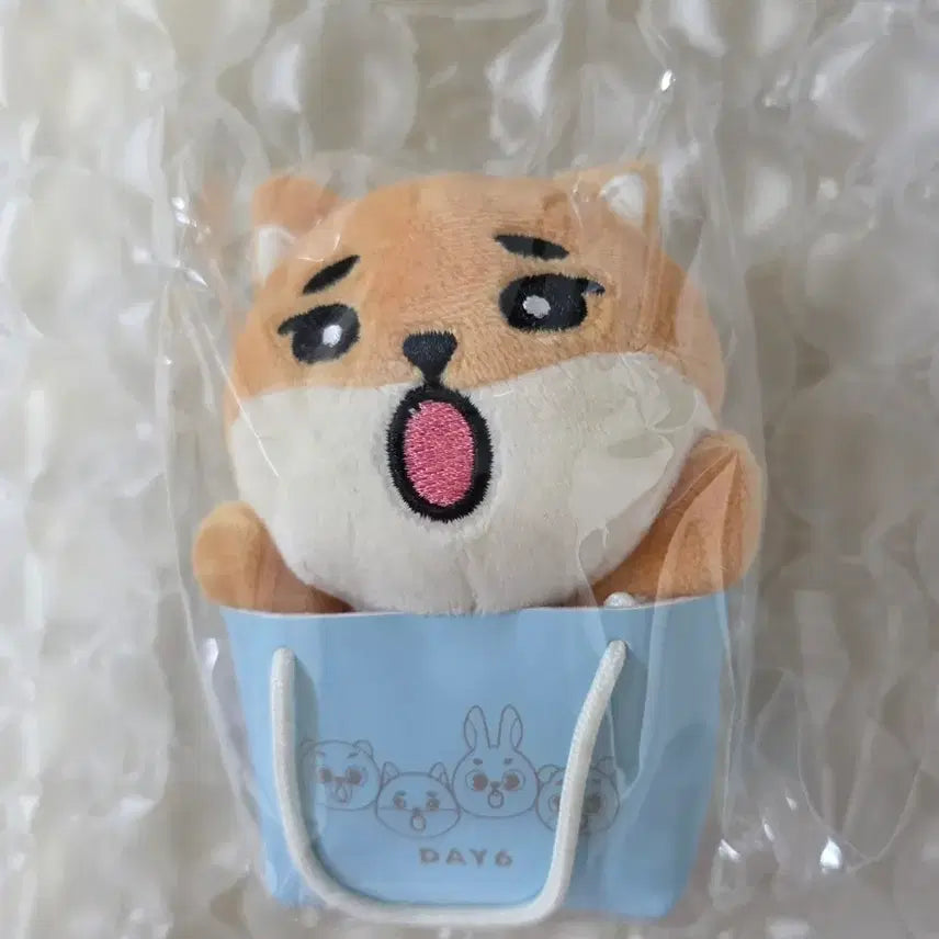 [BUNJANG] Day6 Japan MD Keyring Bag Charm / [원가] 데이식스 일본 MD 케 백참