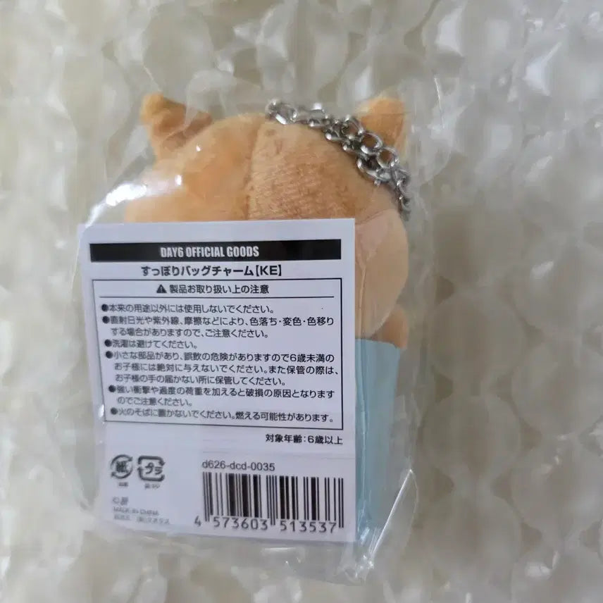 [BUNJANG] Day6 Japan MD Keyring Bag Charm / [원가] 데이식스 일본 MD 케 백참
